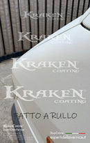 Kit KrakenCoating® Binder 4L + Catalizzatore + Colore