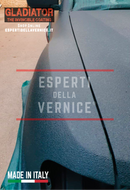 Gladiator Tinteggiabile Vernice antigraffio alta protezione 1 L cat.re - COLORE COMPRESO