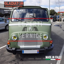 Gladiator Tinteggiabile Vernice antigraffio alta protezione 1 L cat.re - COLORE COMPRESO