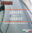 Gladiator Tinteggiabile Vernice antigraffio alta protezione Kit 4 L cat.re - COLORE COMPRESO